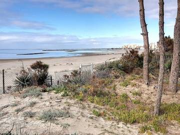 Villa for 10 Guests in Agde, Hérault, Picture 3