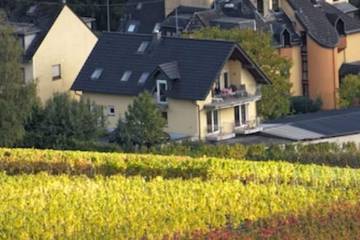 Ferienwohnung für 4 Personen, mit Balkon und Garten in Nehren (Mosel)
