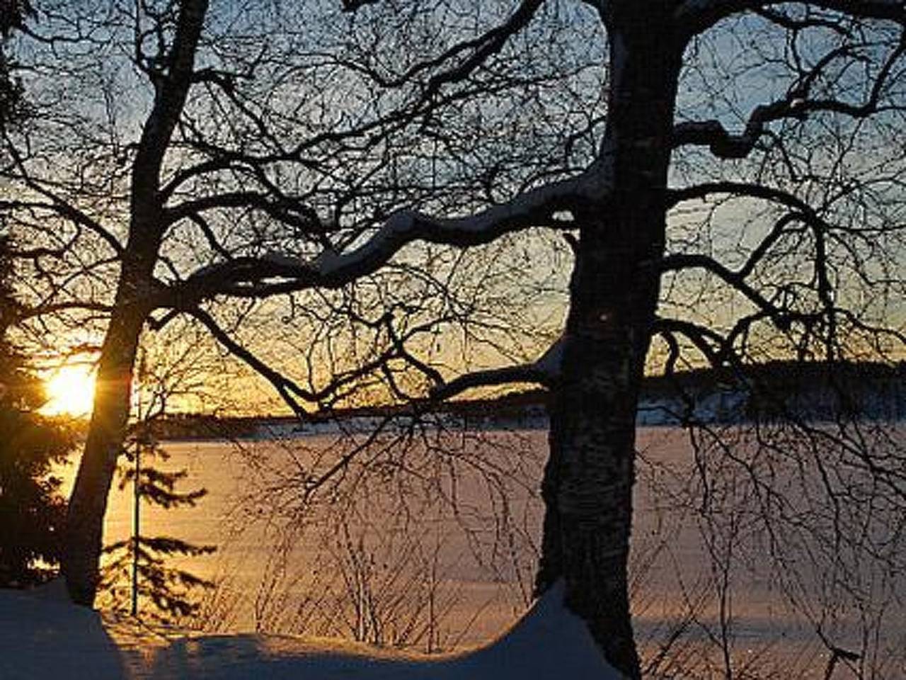Koivuniemi in Nord-Savo