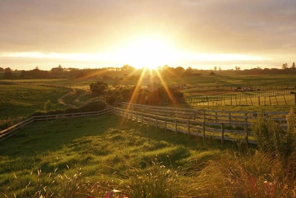 Cottage for 6 People in Taranaki, New Zealand
