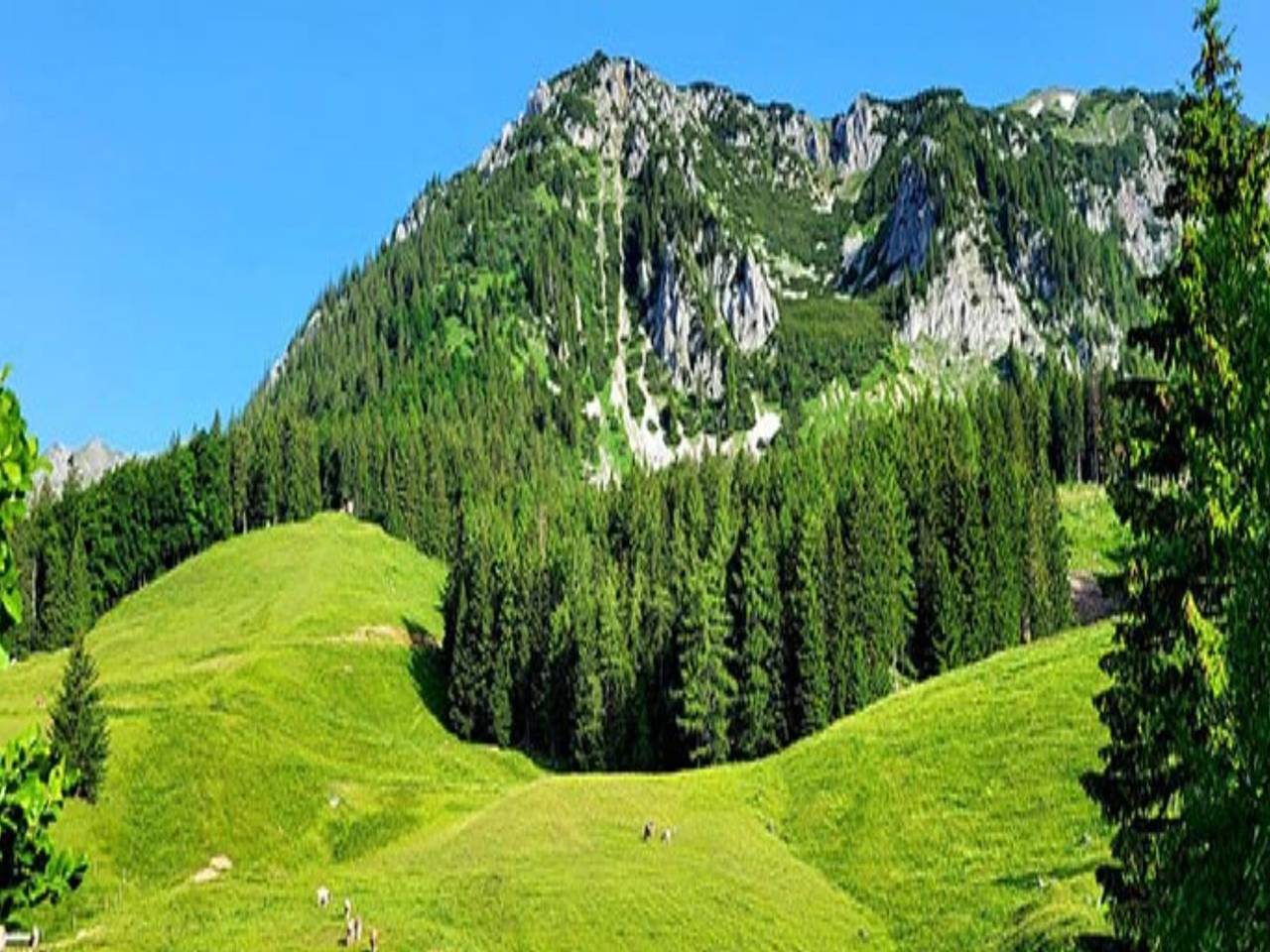 Uriges Almhütte in den Bergen nahe Skigebiete in Turnau, Hochsteiermark