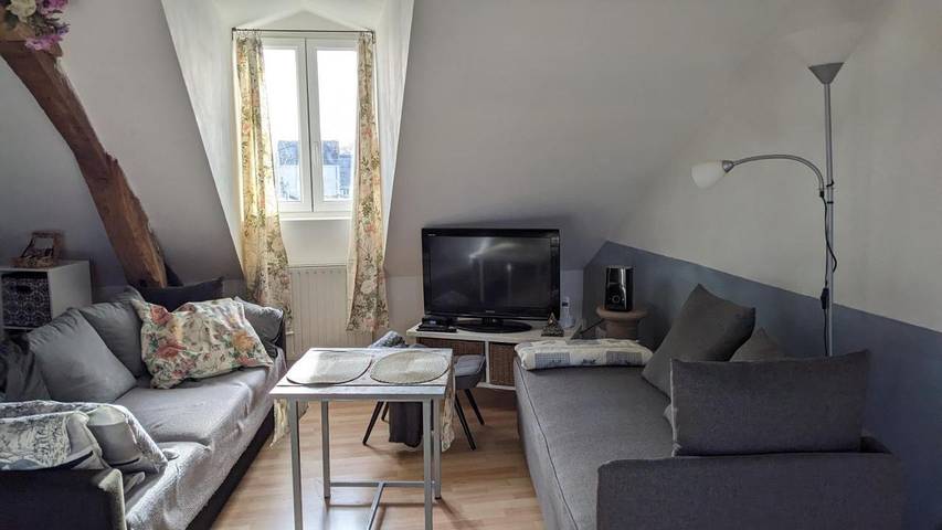 Maison d’hôte pour 4 personnes, avec piscine et jardin ainsi que terrasse et vue à La Flèche - 2