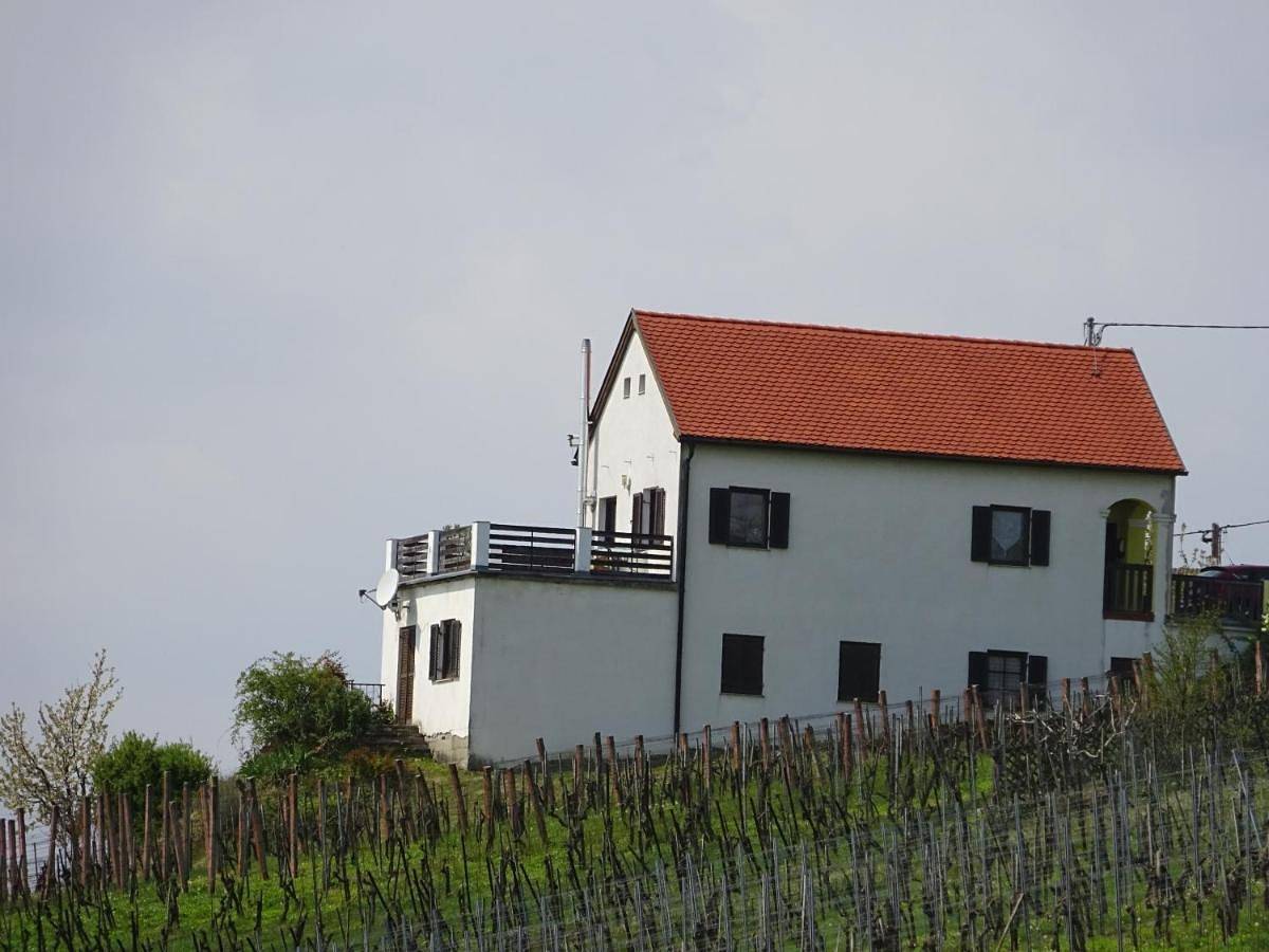 Kellerstöckl Eisenberg/Pinka Weiner in Eisenberg an der Pinka, Südburgenland