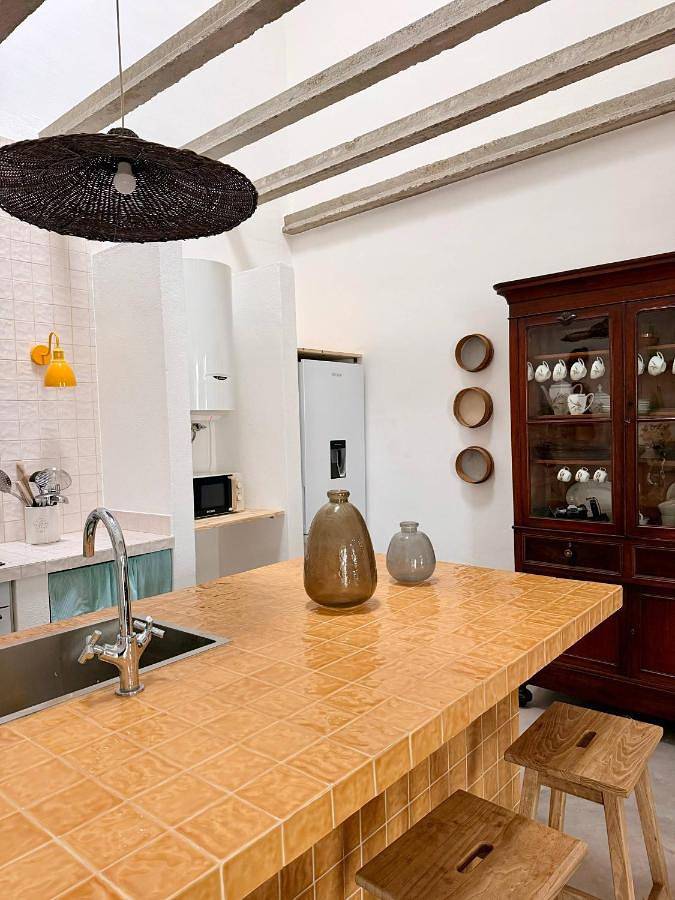 Location de vacances pour 10 personnes, avec Terrasse et Jardin à Fronteira - 2