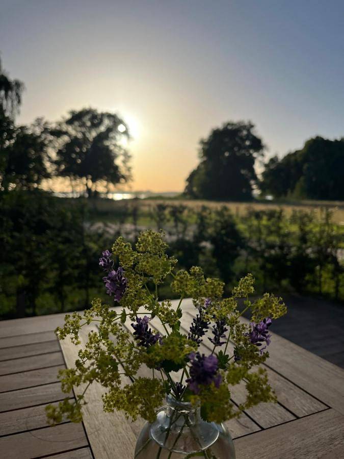 Ferienhaus für 4 Personen, mit Terrasse und Garten sowie Seeblick und Ausblick in Zwischenahner Meer - 4
