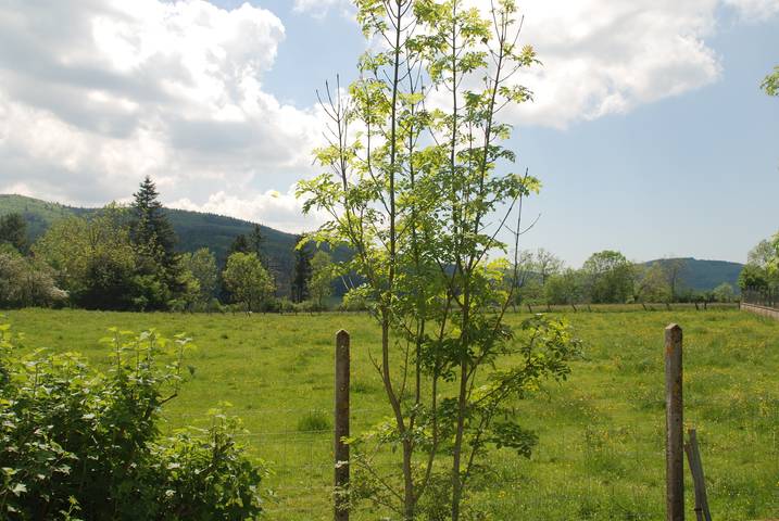 Gîte pour 2 personnes, avec Piscine et Sauna à Arfeuilles - 3