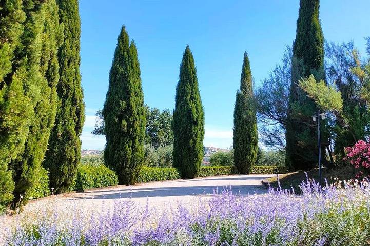 Appartamento intero, Grazioso appartamento in una fantastica posizione collinare e vicino al mare in Acquaviva Picena, Provincia di Ascoli Piceno