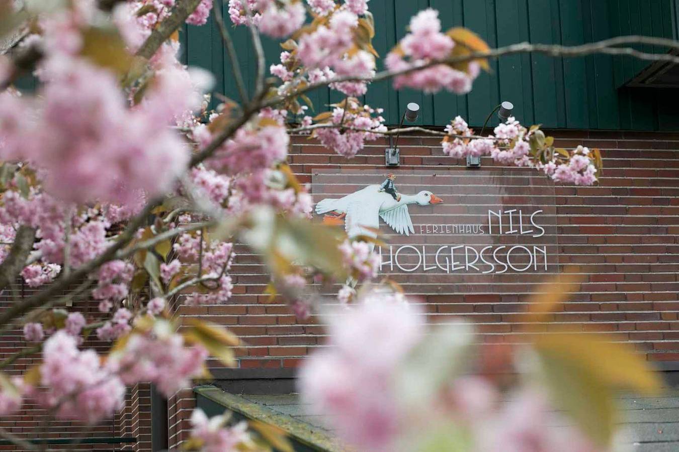 Geheel appartement, Vakantieappartement voor 4 personen met tuin in Spiekeroog