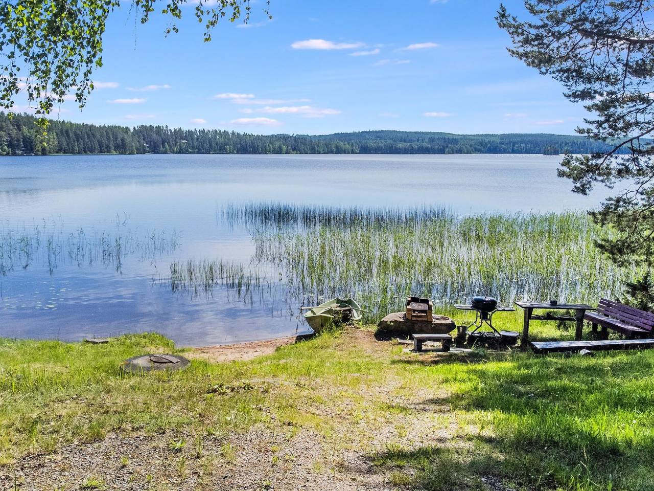 D daalia in Saarijärvi, Westfinnland