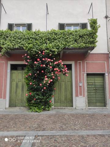 Gîte pour 5 personnes, avec jacuzzi et jardin à Mandello del Lario