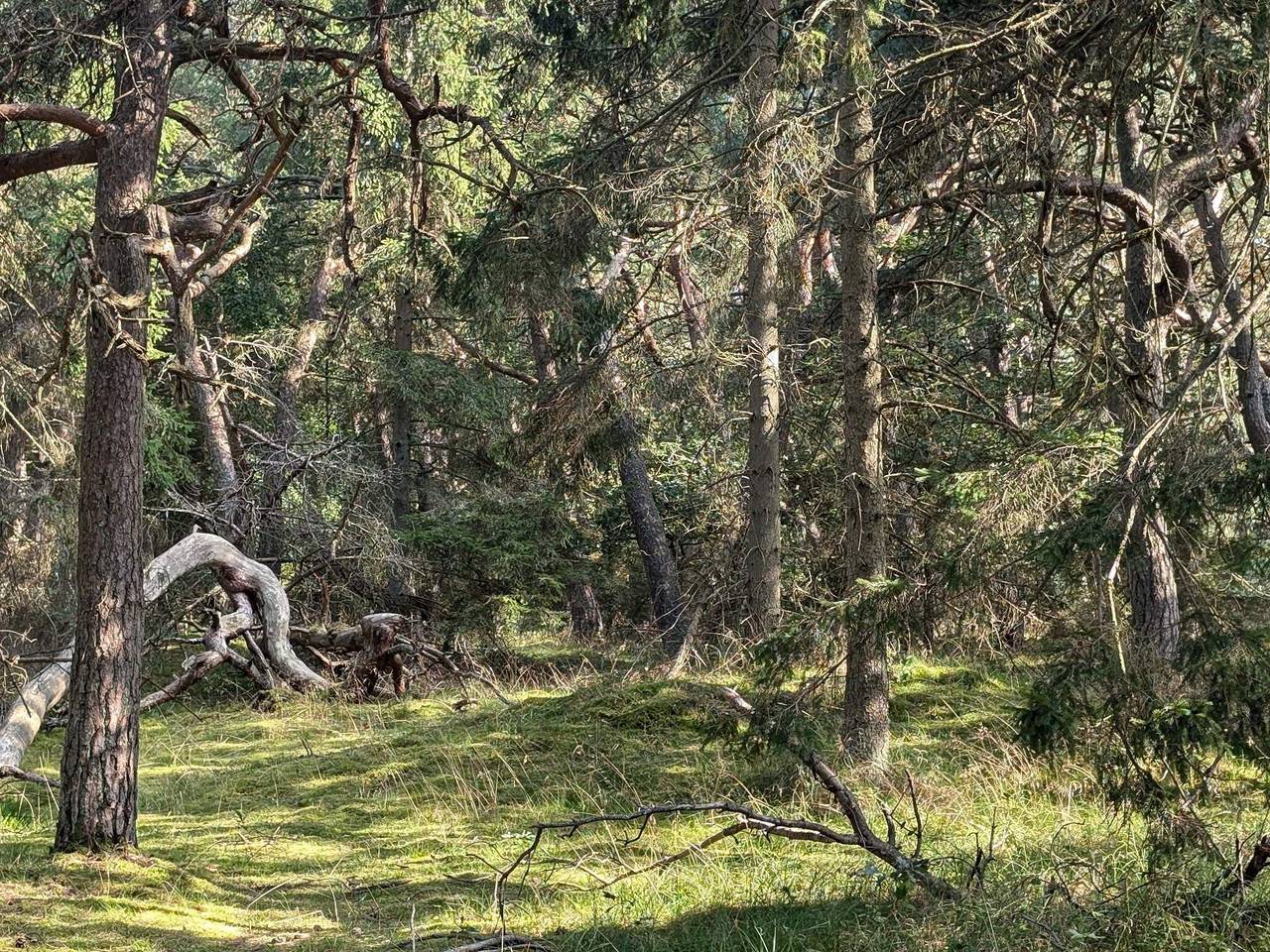 Luxus-Ruckzug in Liseleje -- By Traum Ferienwohnungen in Liseleje, Kattegat Küste