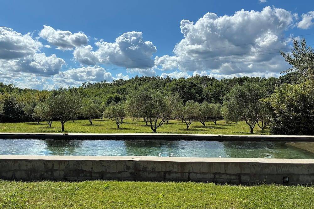 Saltwater swimming pool14m charming mas standing on 2 hectares of countryside in Théziers, Nimes region