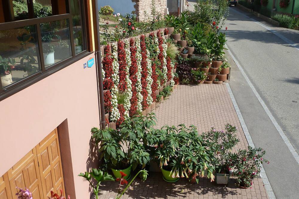 Appartement entier, Le Schieferberg au coeur du Vignoble in Bernardvillé, Région de Sélestat-Erstein