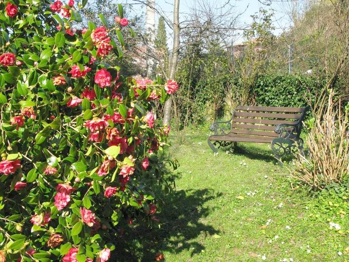 Casa rural para 3 personas, con jardín y terraza, Se admiten mascotas en Sierra del Sueve - 4