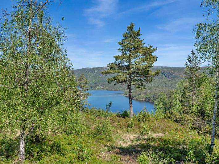 Mariabu in Eikerapen, Åseral