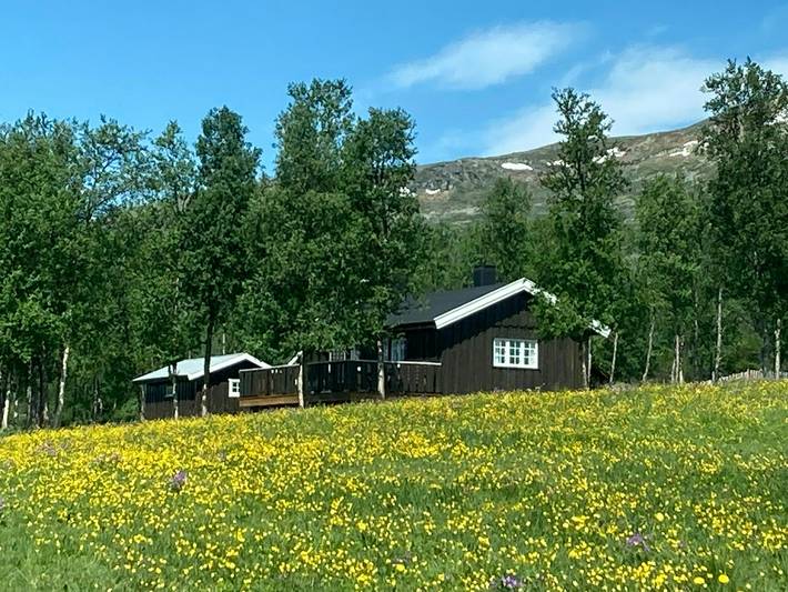 Feriehus for 5 personer, med terrasse, barnevennlig i Jotunheimen