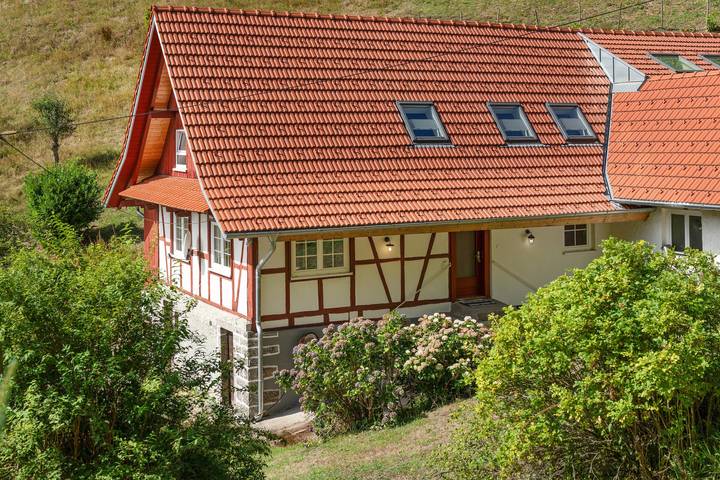 Apartamento entero, Apartamento de vacaciones para 2 personas con jardín in Seebach (Ortenaukreis), Selva Negra Central