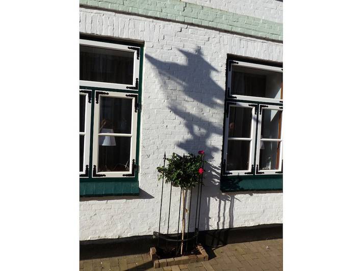Ferienhaus für 6 Personen, mit Garten und Terrasse in Friedrichstadt - 3
