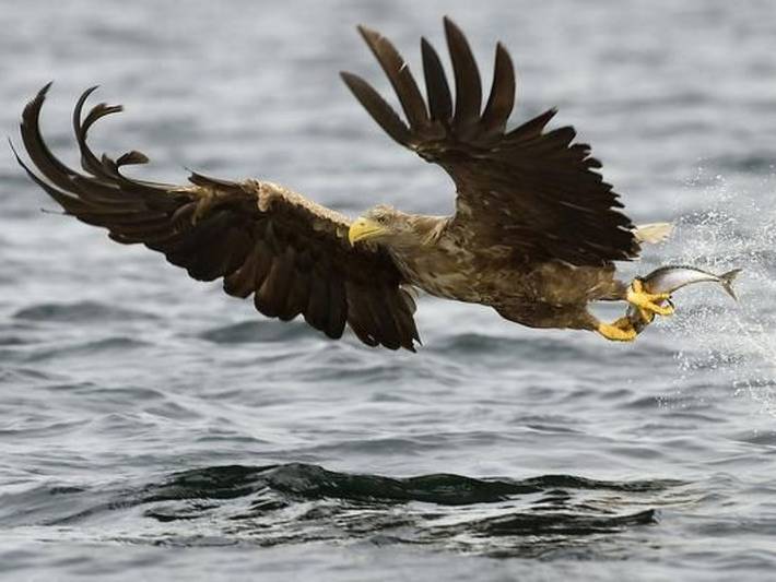 Ferienhaus für 4 Personen, mit Garten in Meløy - 3
