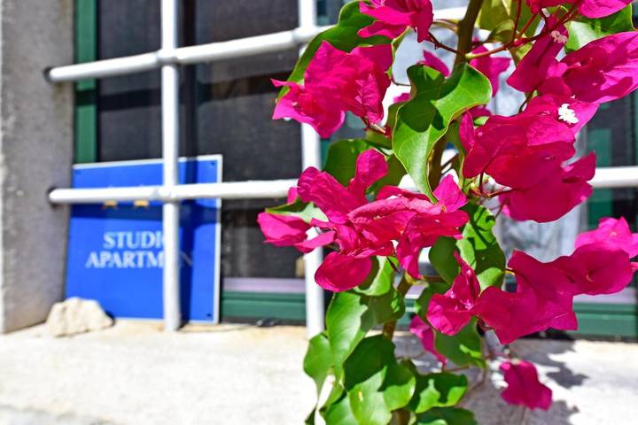 Location de vacances pour 5 personnes, avec piscine ainsi que vue et jardin, animaux acceptés à Motovun - 2