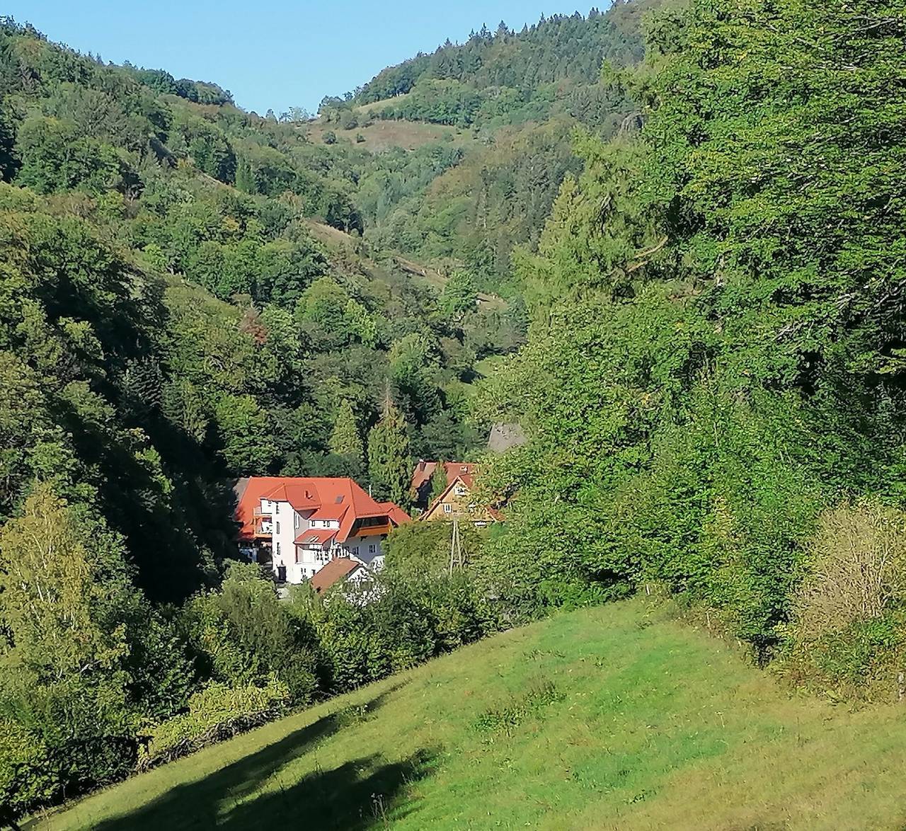 Apartamento inteiro, Apartamento 'Ferienwohnung Löwenzahn' com vista para a montanha, terraço partilhado e acesso Wi-Fi in Gengenbach, Central Black Forest