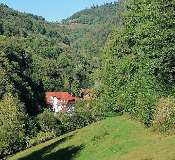 Ferienwohnung für 4 Personen, mit Balkon und Garten in Gengenbach - 4