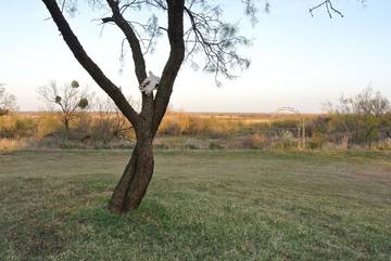 Vacation House for 6 Guests in Texas, USA, Picture 3