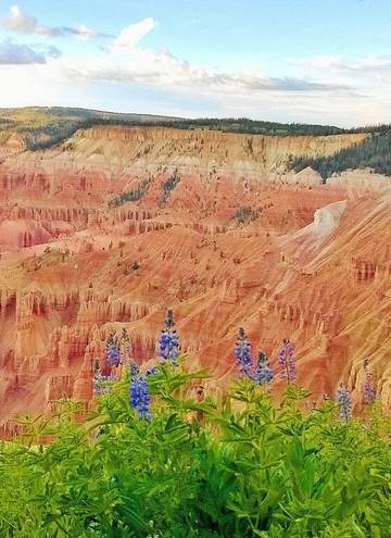 Glamping for 38 Guests in Duck Creek Village, Dixie National Forest, Picture 4