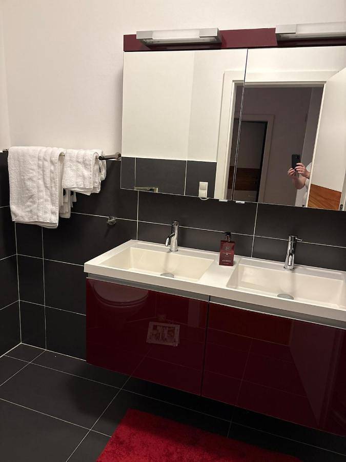 Villa with terrace and garden close to Vienna in Brunn am Gebirge, Bezirk Mödling