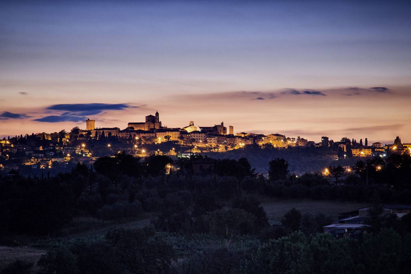 Selva Degli Ulivi in Foiano della Chiana, Chianti