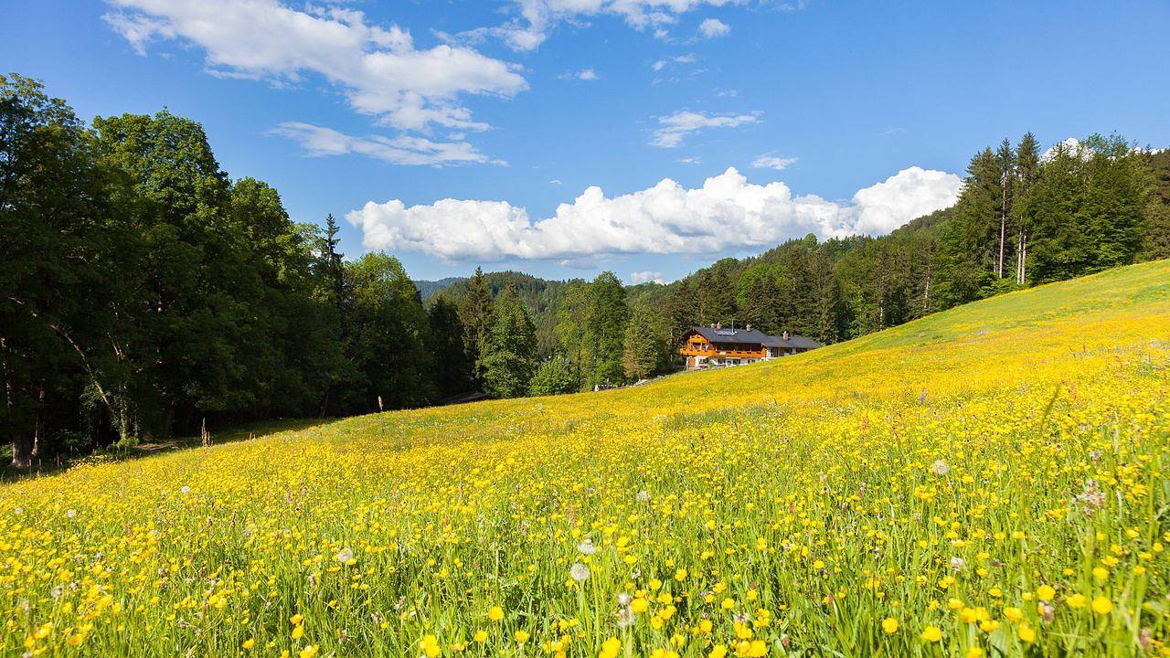 Apartamento vacacional entero, Ferienwohnung für 2 Personen (40 m²) in Berchtesgaden in Obersalzberg, Berchtesgaden