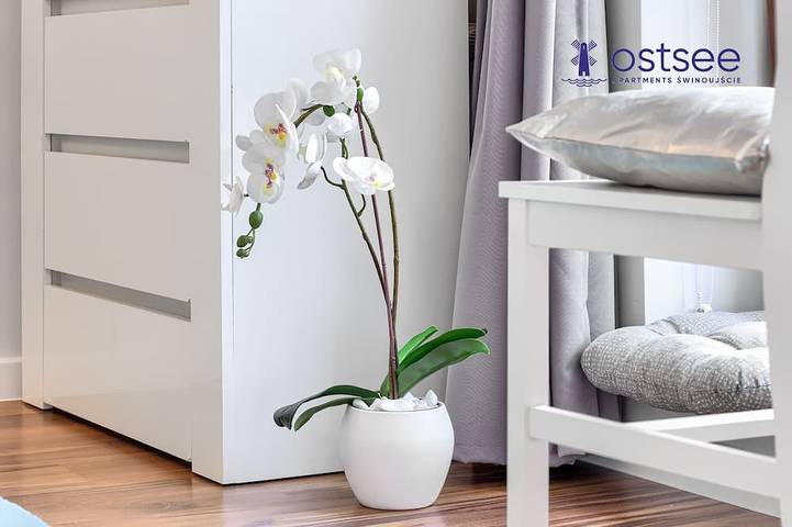 Ferienhaus für 4 Personen in Swinemünde - 2