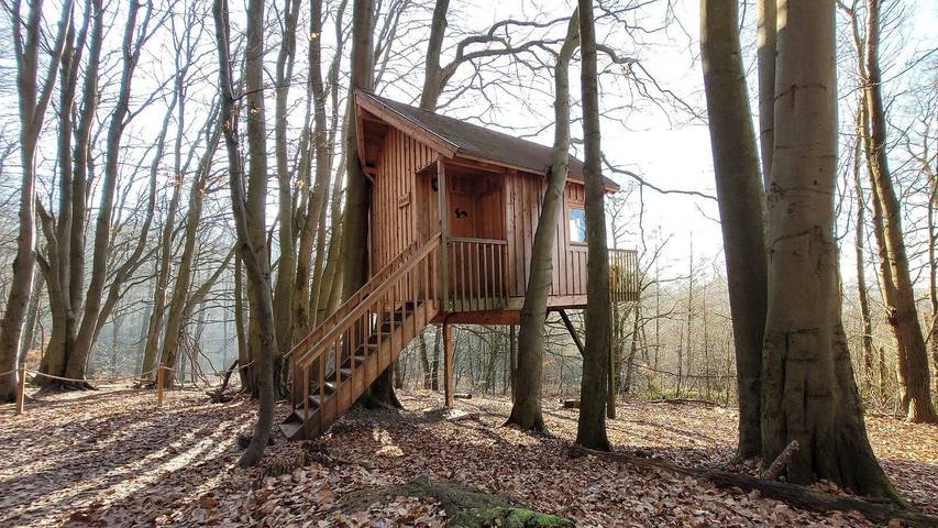 Ferienwohnung für 2 Personen, mit Terrasse und Garten in Uslar - 2