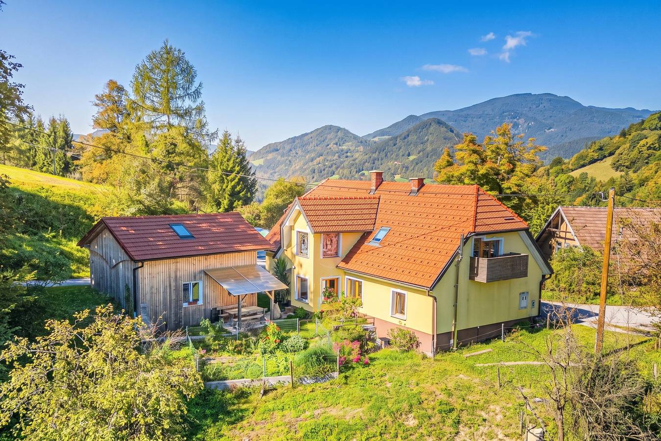 Farmhouse Blackberry Pool&Wellness in Lower Styria