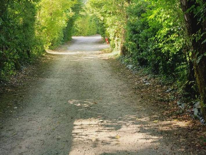 Camping für 4 Personen, mit Kinderpool im Loire-Tal