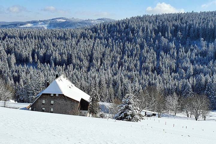 Apartamento entero, Apartment Fuchs, retreat below the Feldberg summit! in Hinterzarten, Selva Negra (zona sur)