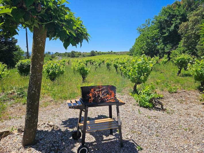 Location de vacances pour 4 personnes à Siran - 2