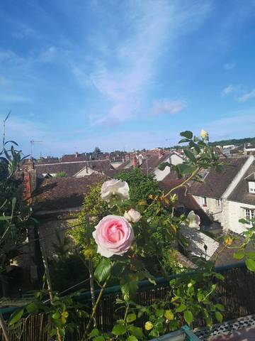 Gîte pour 2 personnes, avec terrasse à Moret-sur-Loing