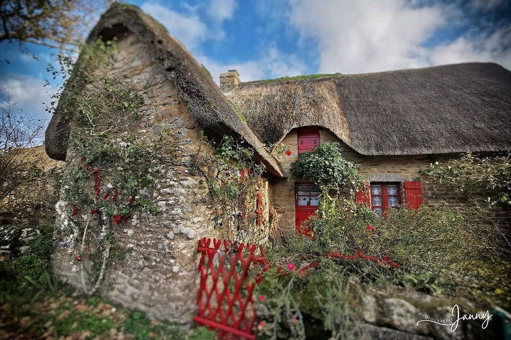 Ultra cosy small house in Lerat, Piriac-sur-Mer