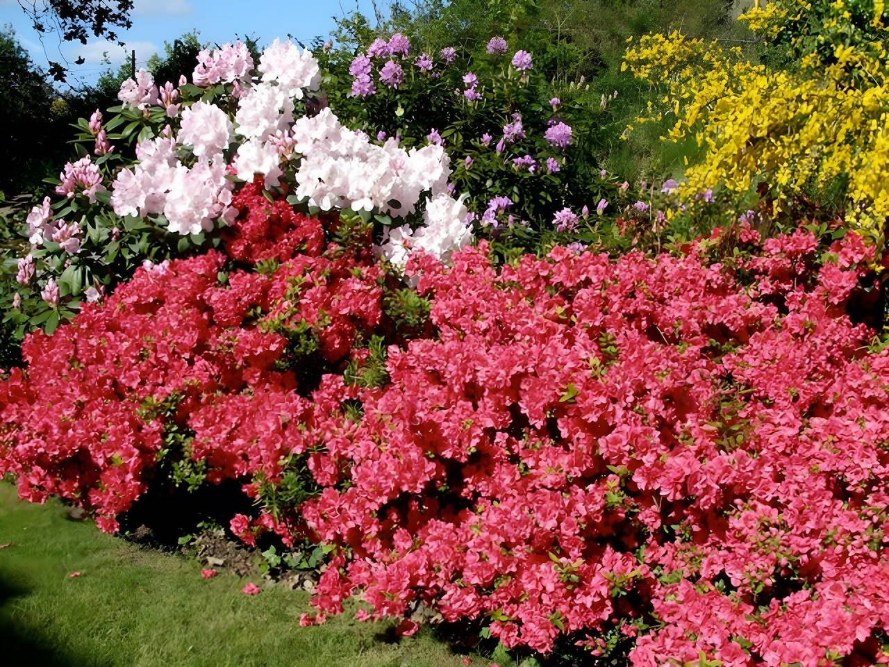 Chambre d'hôtes « Armor » avec vue mer, terrasse partagée et Wi-Fi in Perros-Guirec, Côte de Granit Rose