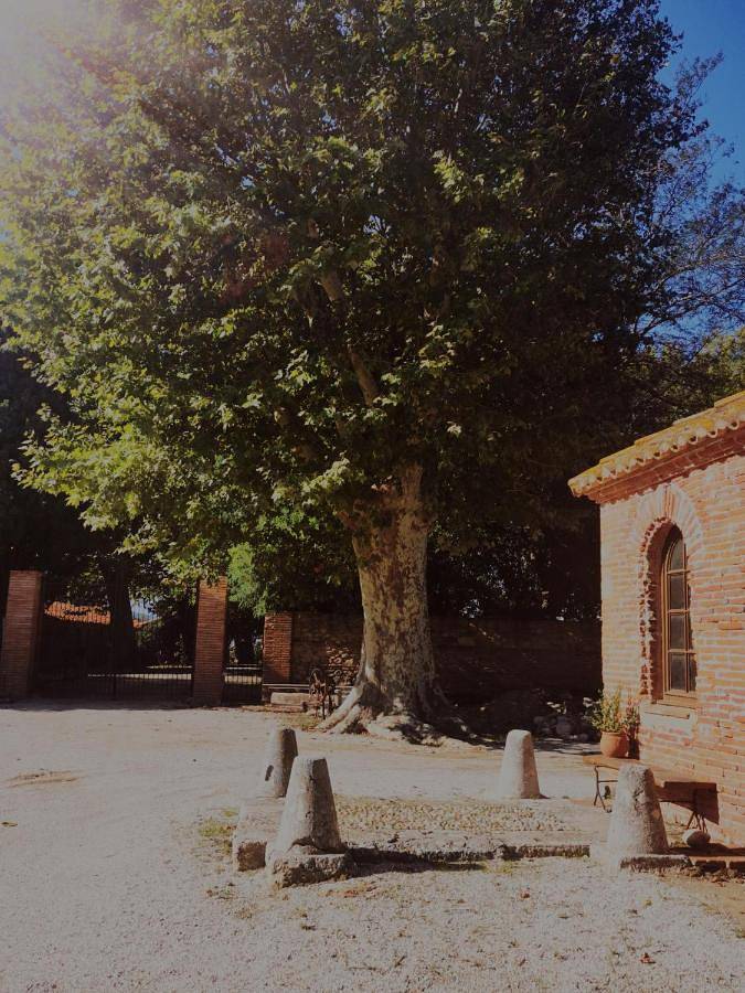 Location de vacances pour 8 personnes, avec terrasse et vue, animaux acceptés à Alénya - 4