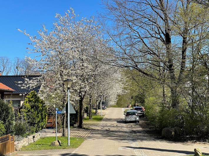 Ferienwohnung für 7 Personen, mit Garten und Sauna sowie Terrasse, mit Haustier in der Feldberger Seenlandschaft - 3