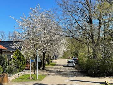 Ferienwohnung für 7 Personen in Feldberger Seenlandschaft, Mecklenburg-Strelitz, Bild 2