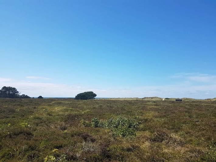 Ferienhaus für 4 Personen, mit Terrasse, kinderfreundlich auf Læsø - 3