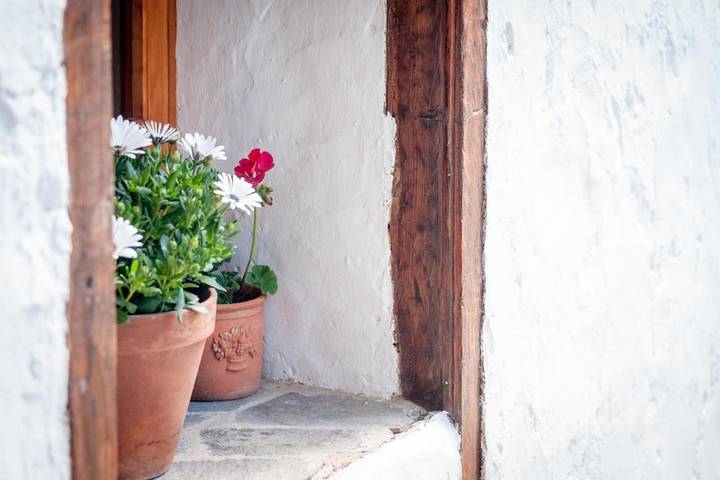 Maison d’hôte pour 3 personnes, avec Terrasse et Jardin