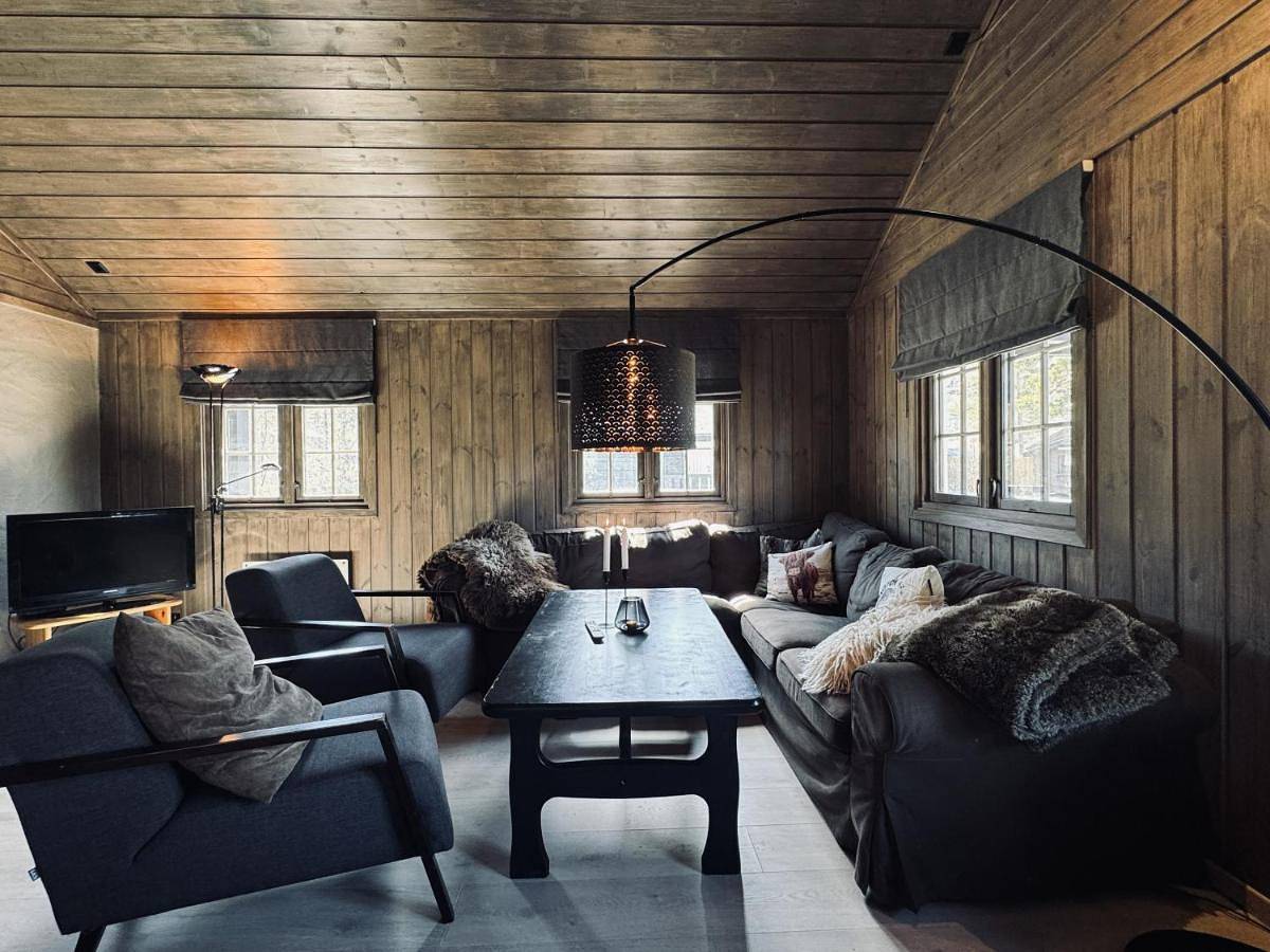 Dream cabin by Geilo, ski-in ski-out with room for the whole family in Geilo, Hol