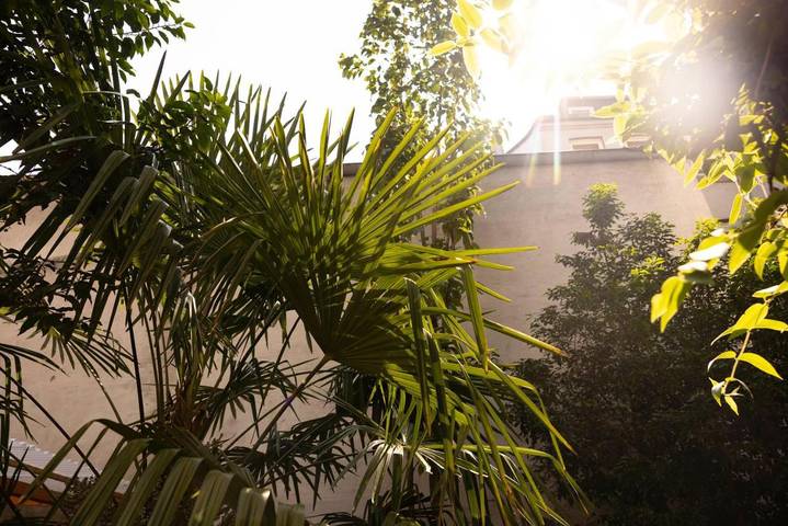 Ferienwohnung für 6 Personen, mit Terrasse und Garten in Hamburger DOM - 2