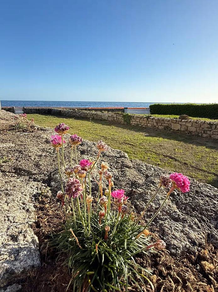 Gîte für 6 Personen, mit Terrasse und Garten in Kerity-penmarc'h (Finistère)