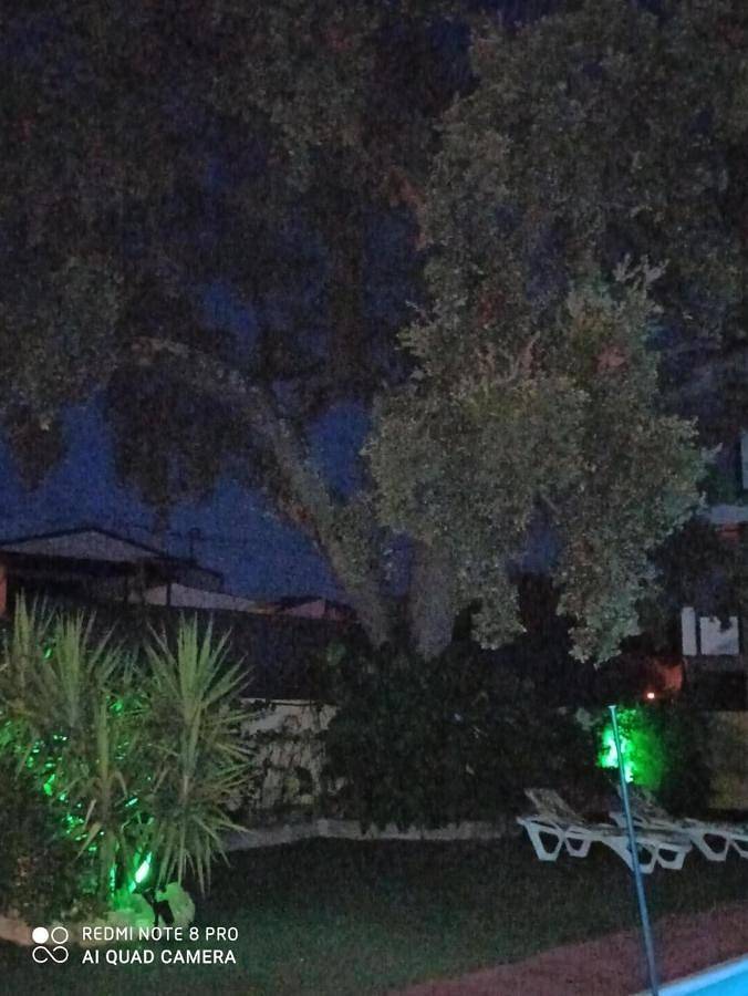 Casa rural para 6 personas, con terraza y piscina además de jardín y vistas, Se admiten mascotas en Setenil de las Bodegas - 4