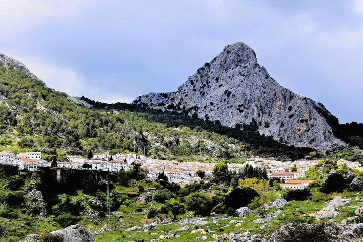 Location de vacances pour 6 personnes, avec terrasse et vue, adapté aux familles à Grazalema - 3
